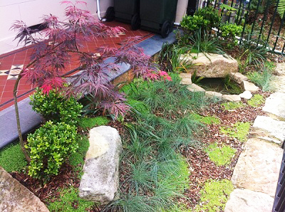 Modern Front Courtyard Garden Sydney